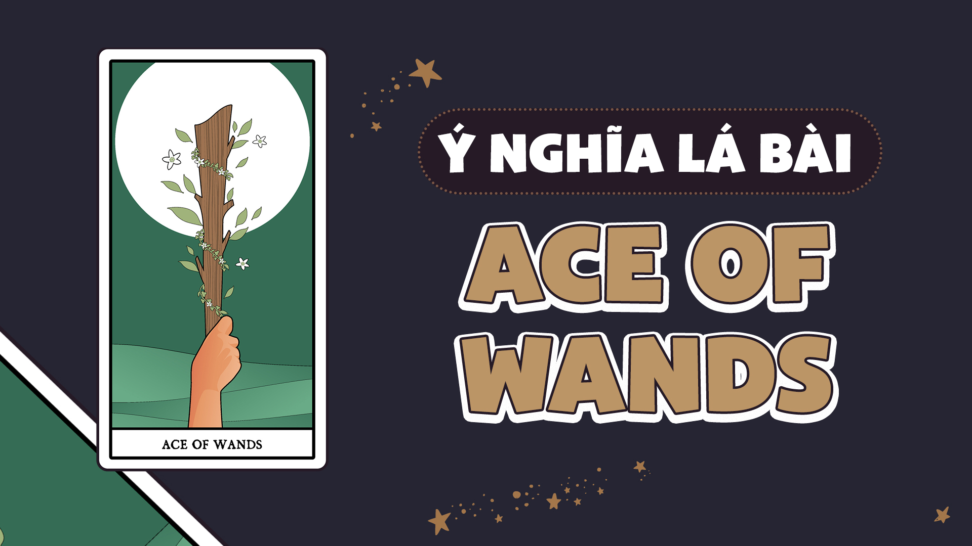 Ý nghĩa của lá bài Ace of Wands
