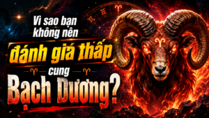 Vi sao ban khong nen danh gia thap cung Bach Duong