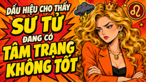 Trang Chủ 52 5 3