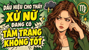 Trang Chủ 51 6 3