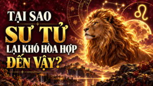 Tai Sao Su Tu Lai Kho Hoa Hop Den Vay