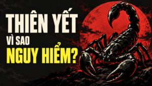 Thien Yet Vi Sao Nguy Hiem